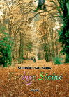 Farbige Steine Farbige Steine